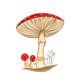 Amanita Sticker item