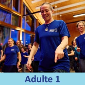 Adulte 1 - Petite-Patrie (Mtl) item