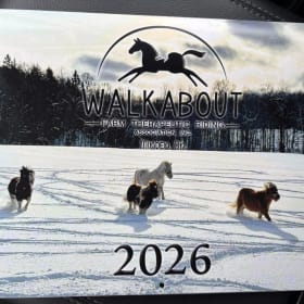 Individual Calendars - 2025 item