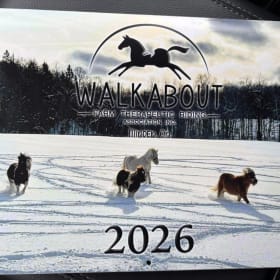 Three or More Calendars - 2025 item