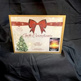 Sleigh the Night DJ Package item