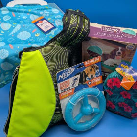 Summer Fun Pup Raffle Basket item