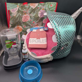 Narwhal Noel Kitty Raffle Basket item