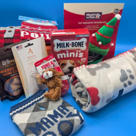 Cozy Comforts for Small Dogs Raffle item