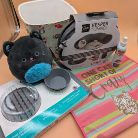 City Kitty Comfort & Enrichment Raffle Basket item