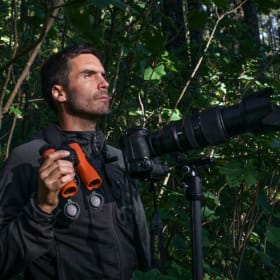 Jaime Rojo – Chasing Monarchs (2 Tickets) item