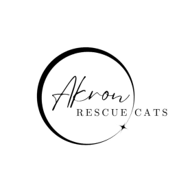 Super Bowl ($100) item