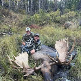 Alaska Guided Moose Hunt item
