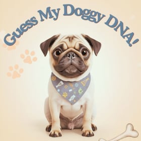 Guess Steve's Doggy DNA item
