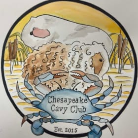 10 Entries at 2026 Chesapeake Cavy Club Shows item