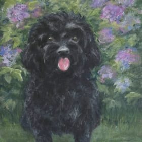 Fine Art Pet Portrait by Vicki Parry item