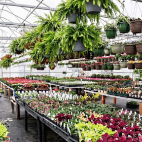 Zandstra's Garden Center $100 Gift Card Package item