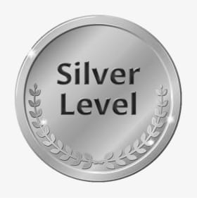 Silver item