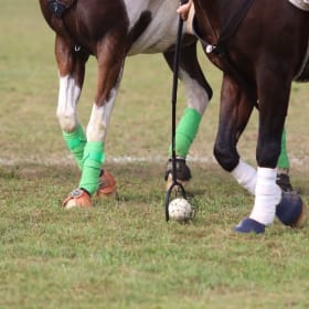 Community Partner Sponsor item