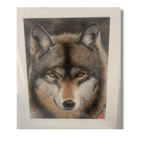 Gaze of the Wolf -  Duncan Robertson item