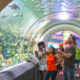 Discovery World Passes item