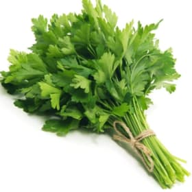 Parsley Seedling item