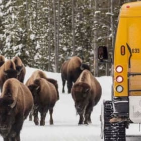 Yellowstone Park Snow Coach to Old Faithful with Ski Drop item