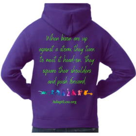 AdaptLou Thunder Basketball Hoodie - Bison Quote Logo item
