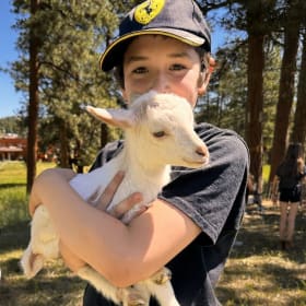 Jun 22-26: GOATS & ARTS item