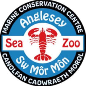 Anglesey Sea Zoo Family Ticket! item