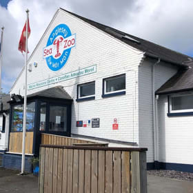 Anglesey Sea Zoo Family Ticket! item