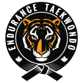 Endurance Taekwondo (size 120 | # 000) item