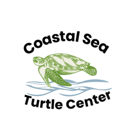 Sea Turtle T-Shirt Size 2XL item
