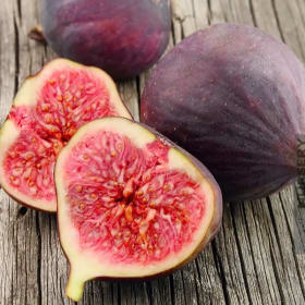 Fig, Celeste - 3 gallon item