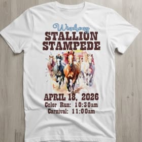 Cotton T-shirt white - Adult Large item