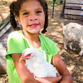 Wk 3 7/20-7/23 Morning item