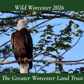 2026 GWLT Calendar item