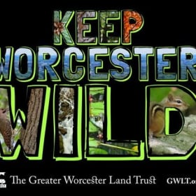 Keep Worcester Wild T-shirt item