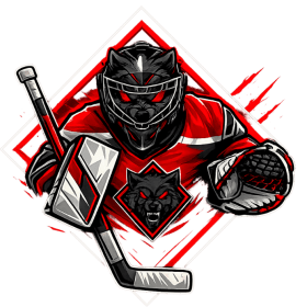 2017 Goalie Registration item