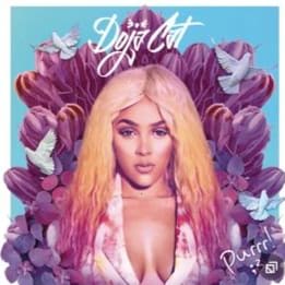 Doja Cat Concert Raffle Tickets - 5 item