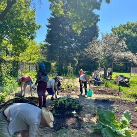 Jardin Petite-côte item