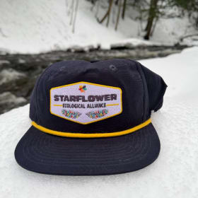 Starflower Ecological Alliance - Team Hat - Navy/Gold item