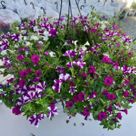 12 inch Flower Basket item