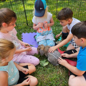 Week 7 8/17-8/20 Morning Session item