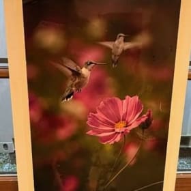 Ruby-throated Hummingbird print and pink cosmos flower item