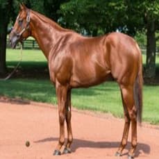 DRAIN THE CLOCK item