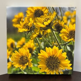 Balsamroot item