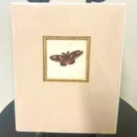 Campbell's Melange - Antique Butterfly Painting item