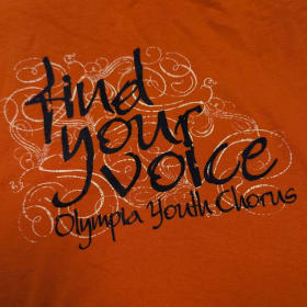Adult Med. Orange Find your voice T-shirt item