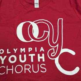 Youth Medium Red t-shirt item