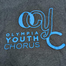 Adult large Heather grey T-shirt item