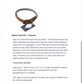 Turquoise Medium Dog Collar item