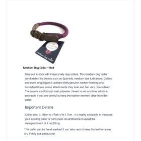 Red Medium Dog Collar item