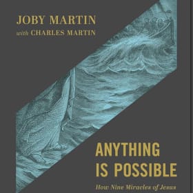 Anything Is Possible item