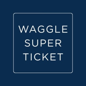 Waggle Super Ticket item